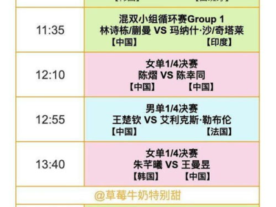 WTT香港总决赛12月12日：精彩对决，巅峰时刻即将开启！