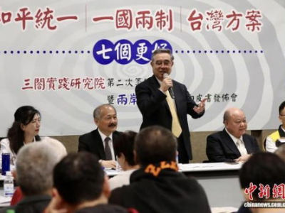 新党：和平统一不是退让