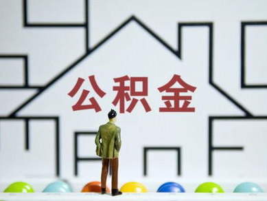 住房公积金制度改革：构建住房保障新体系