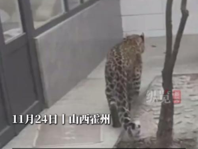 爱沙尼亚外长为什么要对中国放狠话