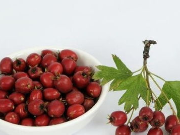 女子连吃10多颗山楂胃里长巨大结石